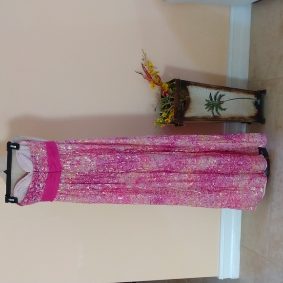 BCBG Maxazria Maxi Dress. - Picture 5 of 16